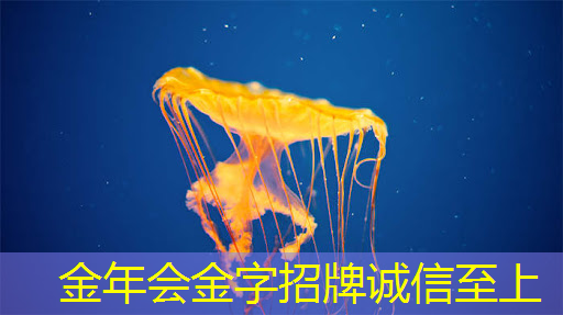外网热议:中美芯片战,胜负已分!终于摊牌了 外网热议:中美芯片战,胜负已分!终于摊牌了