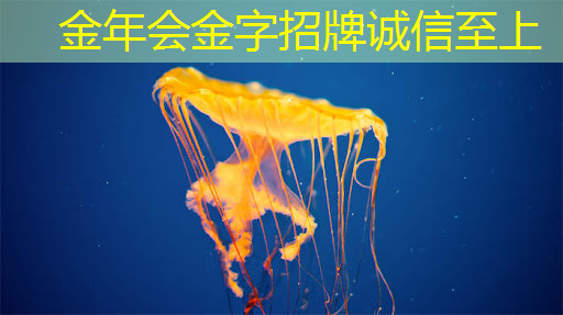 理想L9将搭载全自研智能驾驶系统;紫光国微:车载控制芯片目前还在安全测试阶段 理想L9将搭载全自研智能驾驶系统;紫光国微:车载控制芯片目前还在安全测试阶段