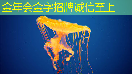 AI智能面膜售货机硬件芯片模组PCBA开发技术解决方案 AI智能面膜售货机硬件芯片模组PCBA开发技术解决方案