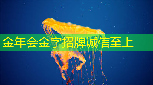 AR/VR芯片市场空间极大 高通处于全球主导地位 AR/VR芯片市场空间极大 高通处于全球主导地位