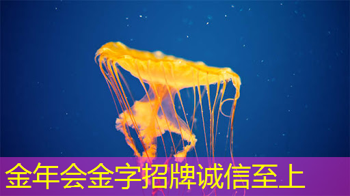 豆包AI耳机成最大助攻?存储芯片多股走强 NOR Flash再迎增量驱动力 豆包AI耳机成最大助攻?存储芯片多股走强 NOR Flash再迎增量驱动力