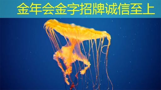 人工智能芯片:概念内涵及其重要性 人工智能芯片:概念内涵及其重要性