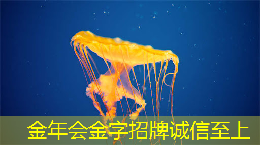 全球芯片制造商份额揭晓:台积电61%,格芯6.6%,中芯国际几何? 全球芯片制造商份额揭晓:台积电61%,格芯6.6%,中芯国际几何?