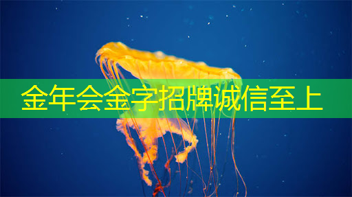 2025年芯片过剩时代来袭,英伟达和台积电面临大挑战! 2025年芯片过剩时代来袭,英伟达和台积电面临大挑战!
