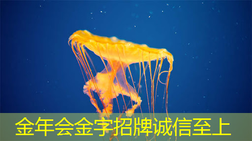 华为智能驾驶控制器的芯片方案 华为智能驾驶控制器的芯片方案