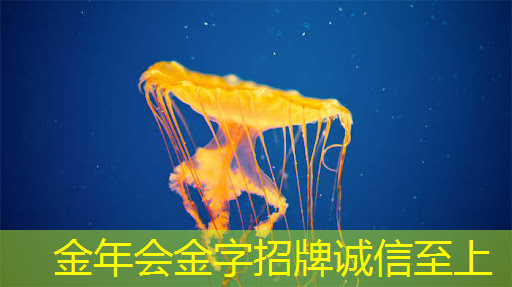 英伟达发布最强AI加速卡 推出新一代AI芯片Blackwell和NIM软件 英伟达发布最强AI加速卡 推出新一代AI芯片Blackwell和NIM软件