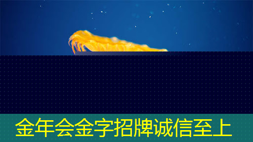 筑起物联网安全芯片“防火墙”,紫光芯赋能物联网产业可持续落地 筑起物联网安全芯片“防火墙”,紫光芯赋能物联网产业可持续落地