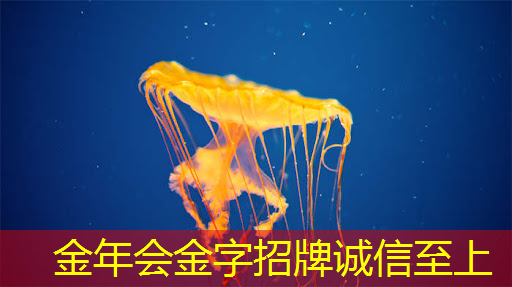 车载空气净化器离线语音识别声控芯片方案 车载空气净化器离线语音识别声控芯片方案