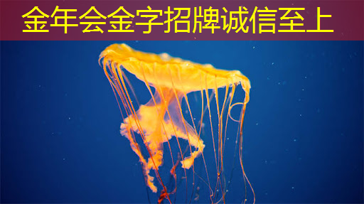 英伟达崛起:从追赶到超越,中国芯片产业的新挑战与机遇到了? 英伟达崛起:从追赶到超越,中国芯片产业的新挑战与机遇到了?