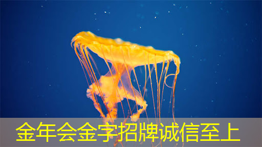 快看|高通等23家芯片模组商与阿里合作,分别推出内嵌AliOS芯片 快看|高通等23家芯片模组商与阿里合作,分别推出内嵌AliOS芯片